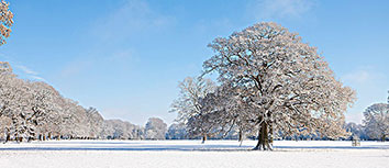 惊心动魇！乌克兰女选手力克对手